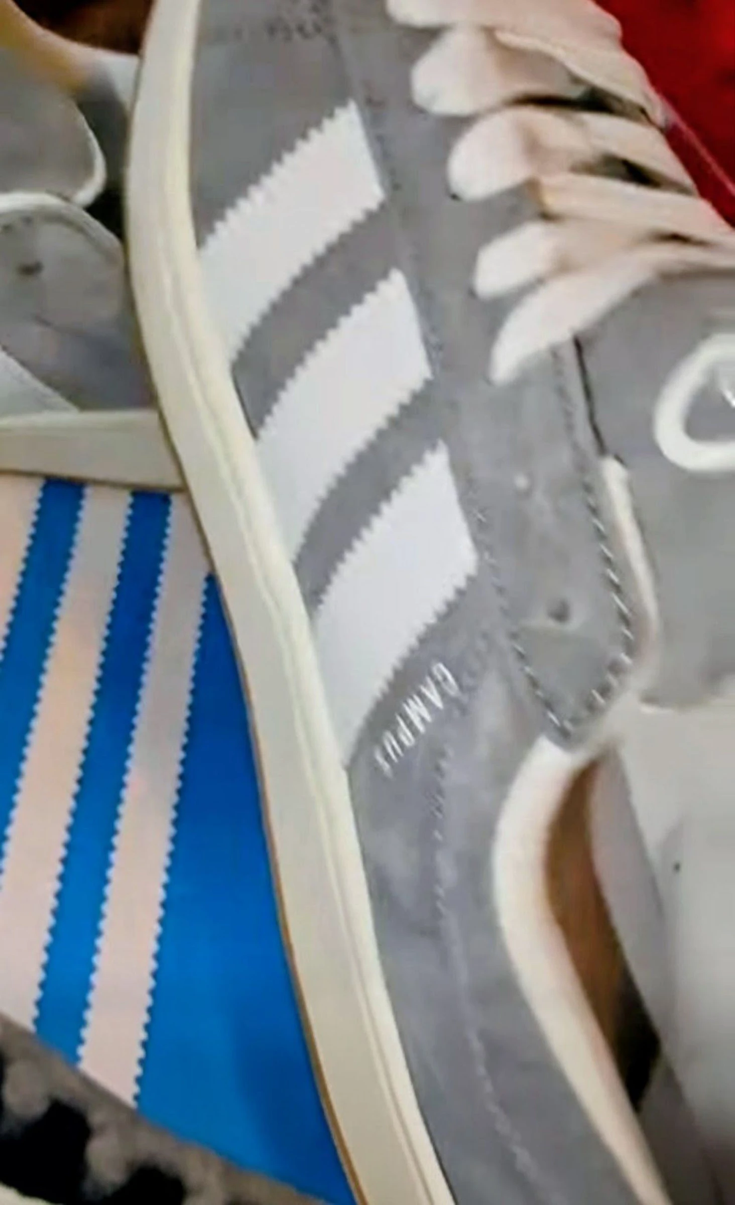 Adidas campus – photo 4